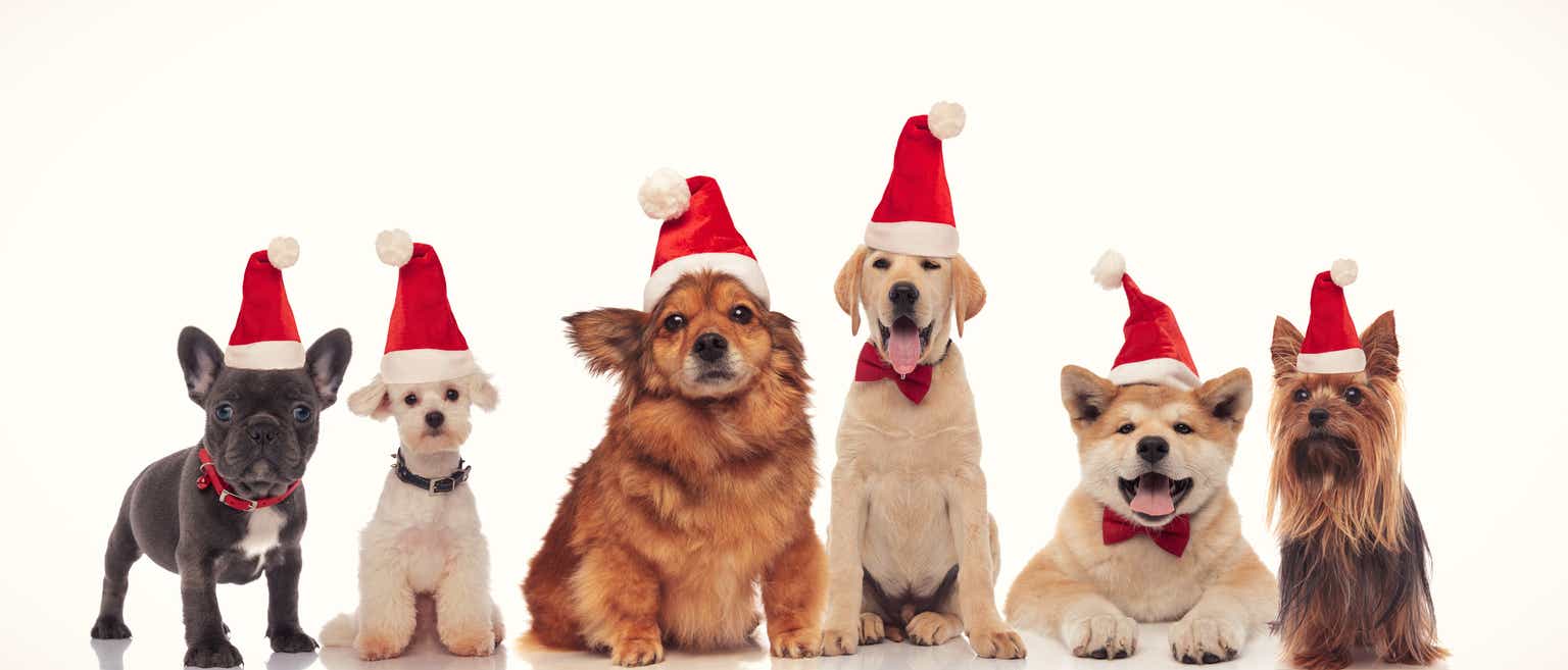 December Dogs Of The Dow Paced By Verizon Yield And Disney Gain ...