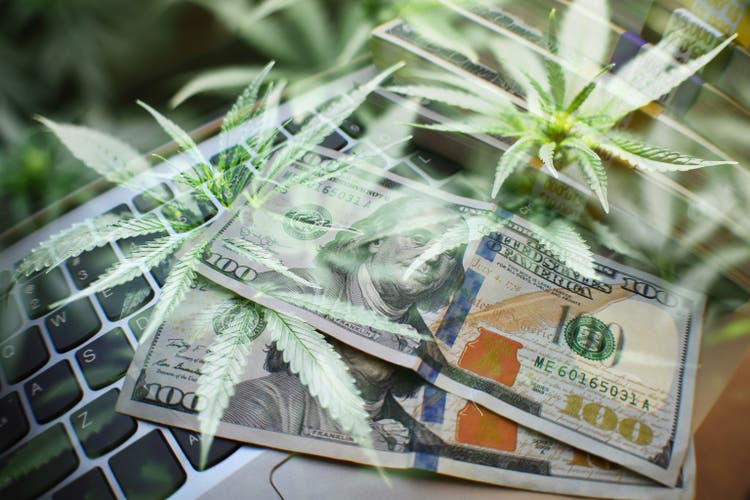 Cannabis Online Sales Either From Trading Or Selling A Product Or Service Concept High Quality