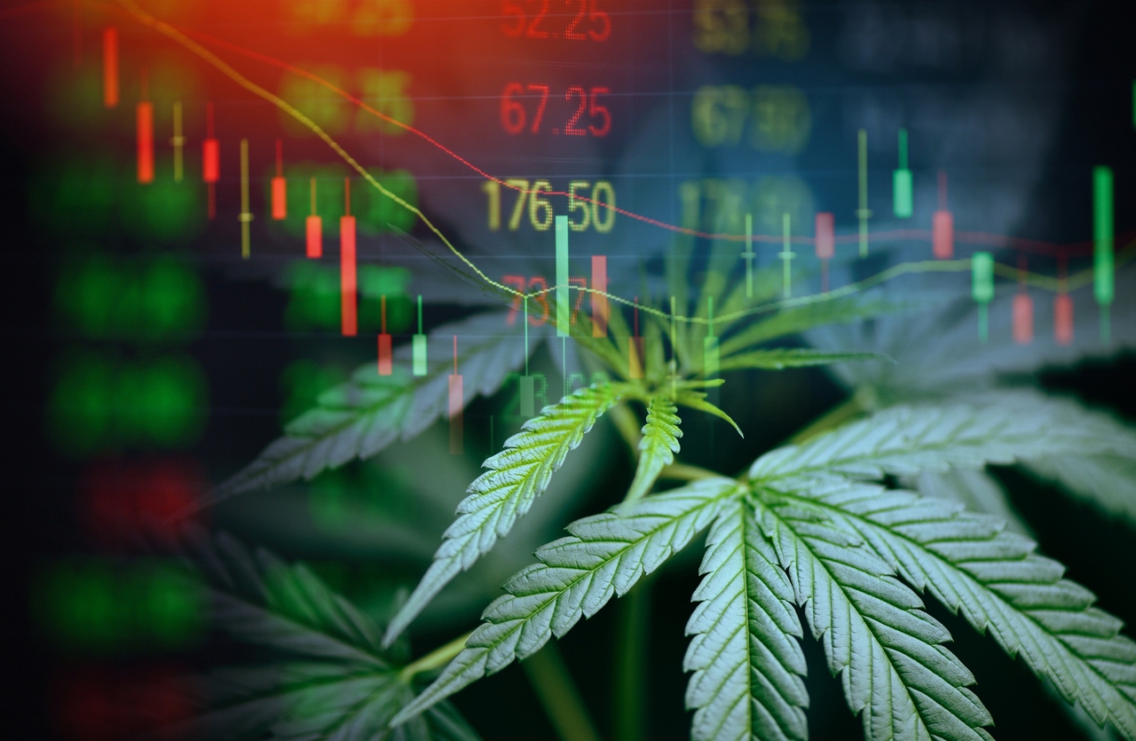 3 Best Cannabis Stocks: Will They Fly High Again Post Trump Schedule III? |  Seeking Alpha