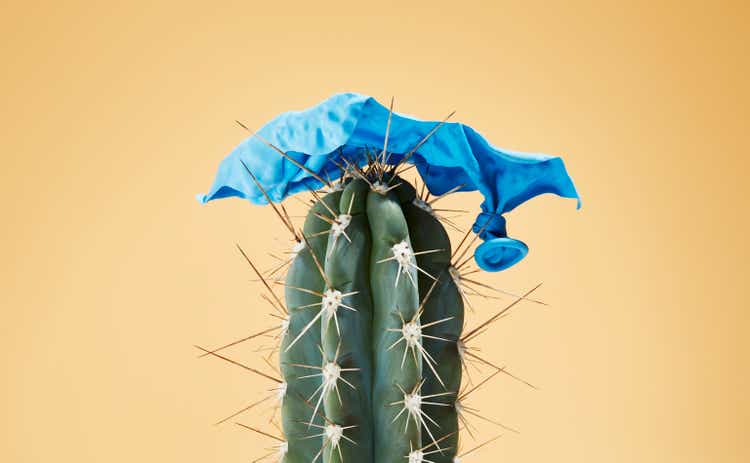 Burst balloon impaled on cactus