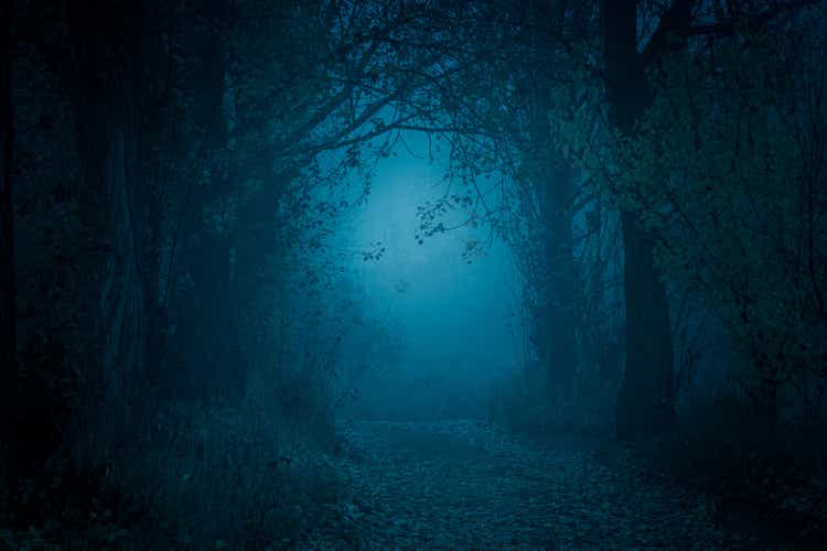 Mysterious, blue-toned forest pathway.  Footpath in the dark, foggy, autumnal, cold forest among high trees.