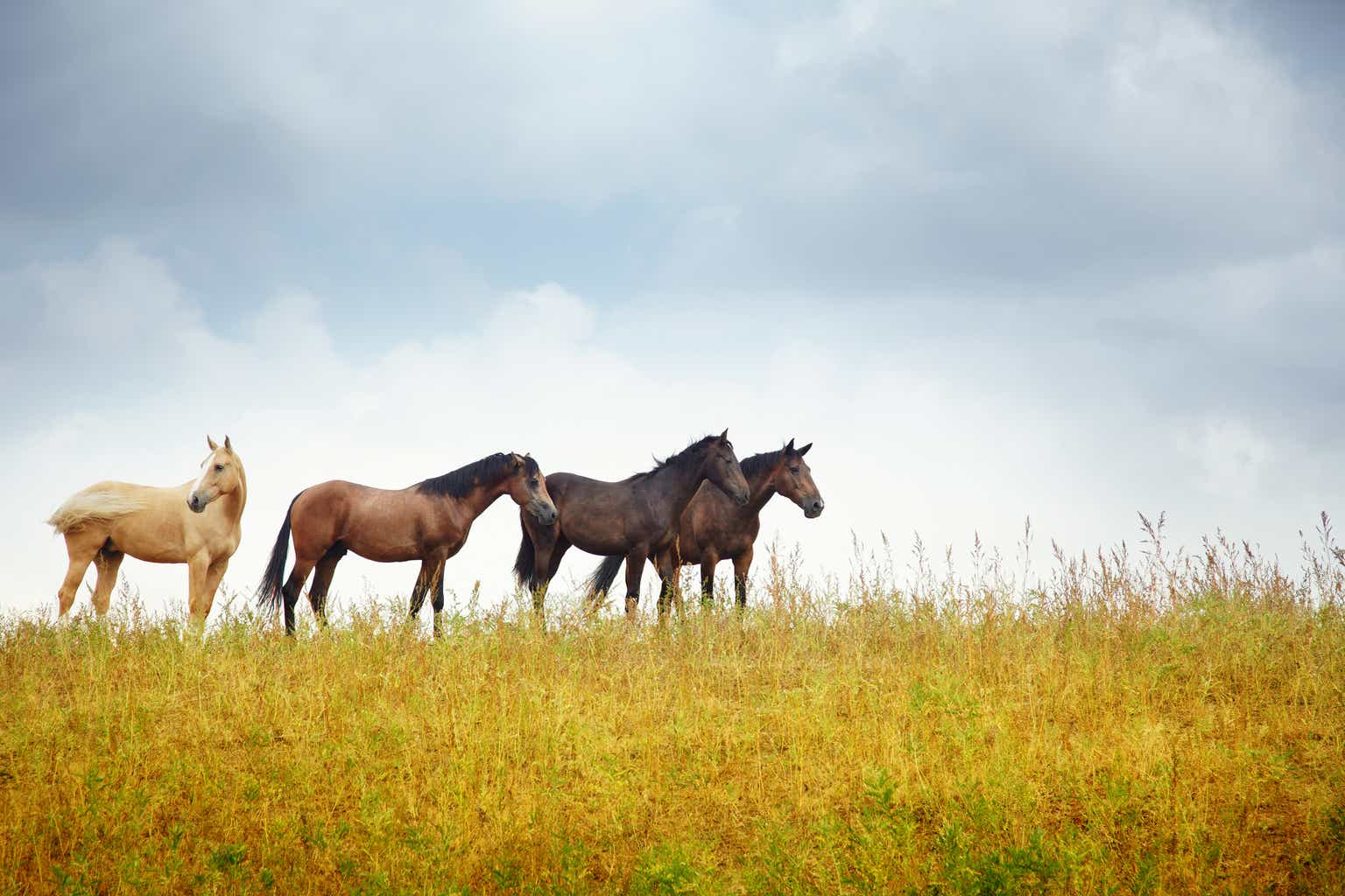 Heron Therapeutics: Four Horse Race Of Approved Therapies