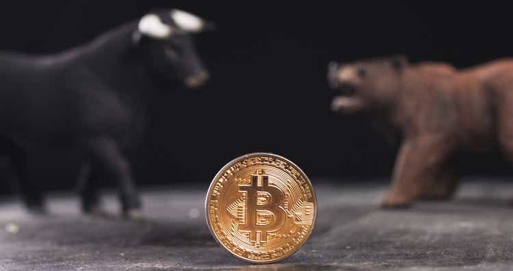 Bitcoin crypto bear and bull market concept