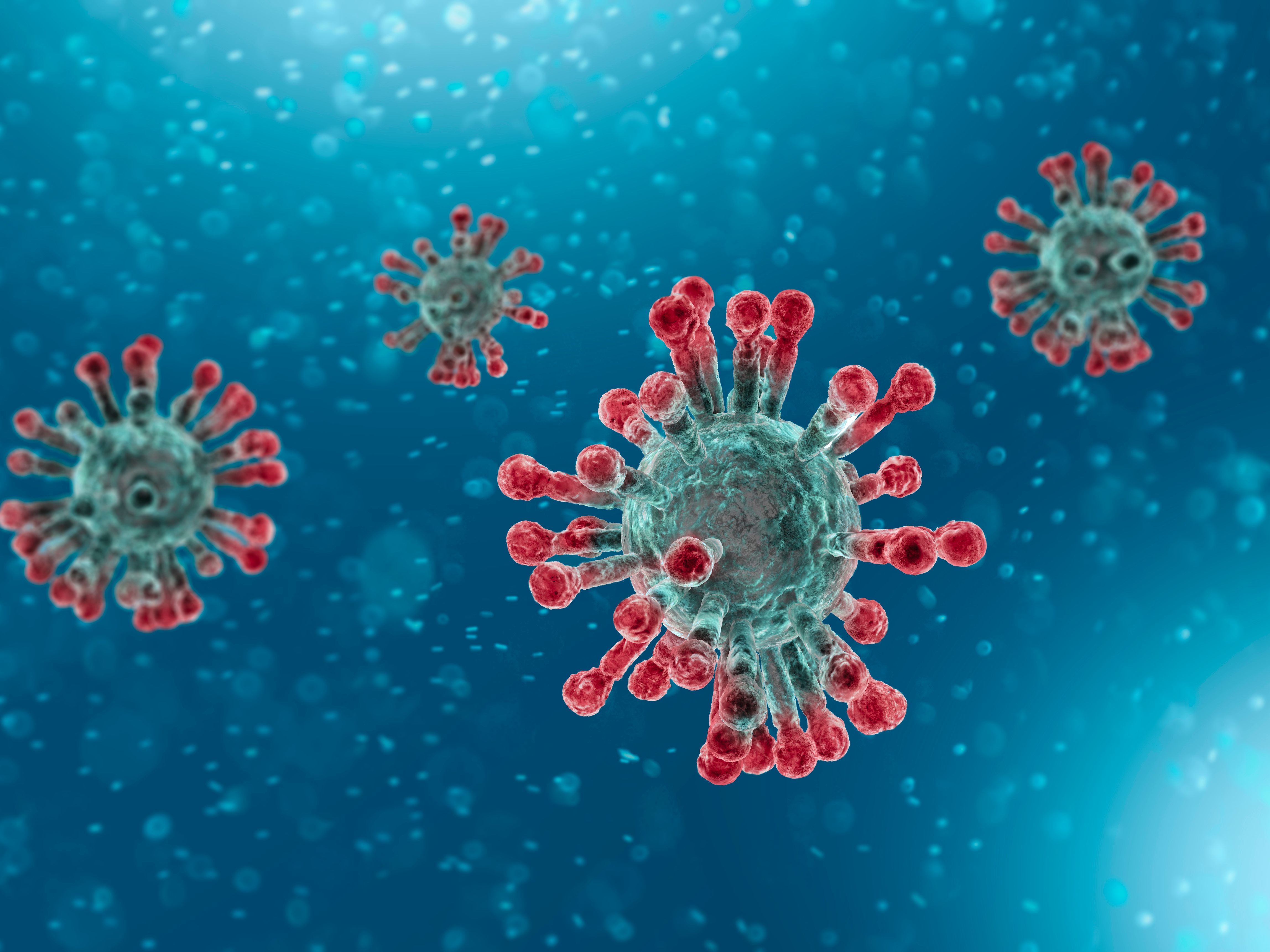 Connecting The Dots: Are Pfizer And Arvinas At Work On A COVID Cure?  (NASDAQ:ARVN) | Seeking Alpha