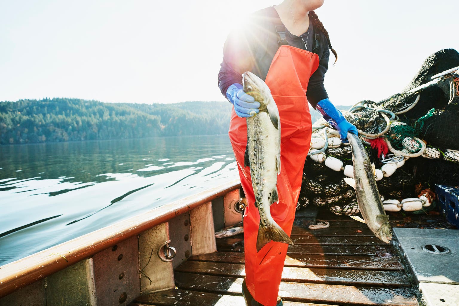 LerøY Seafood Group: A Quality Salmon Player At Average Yields