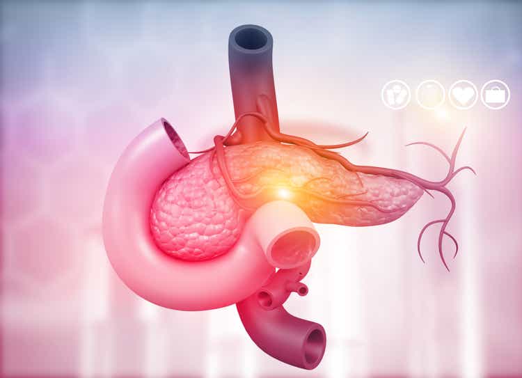 Anatomy of pancreas