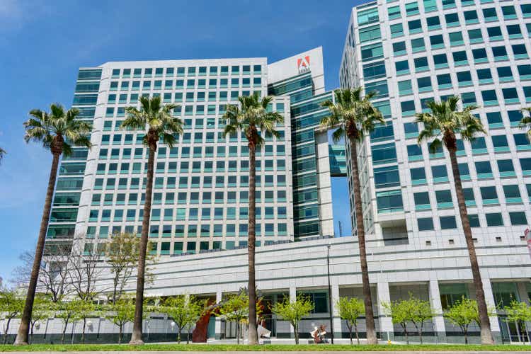 Beautiful palm tree in front of Adobe worldwide headquarters