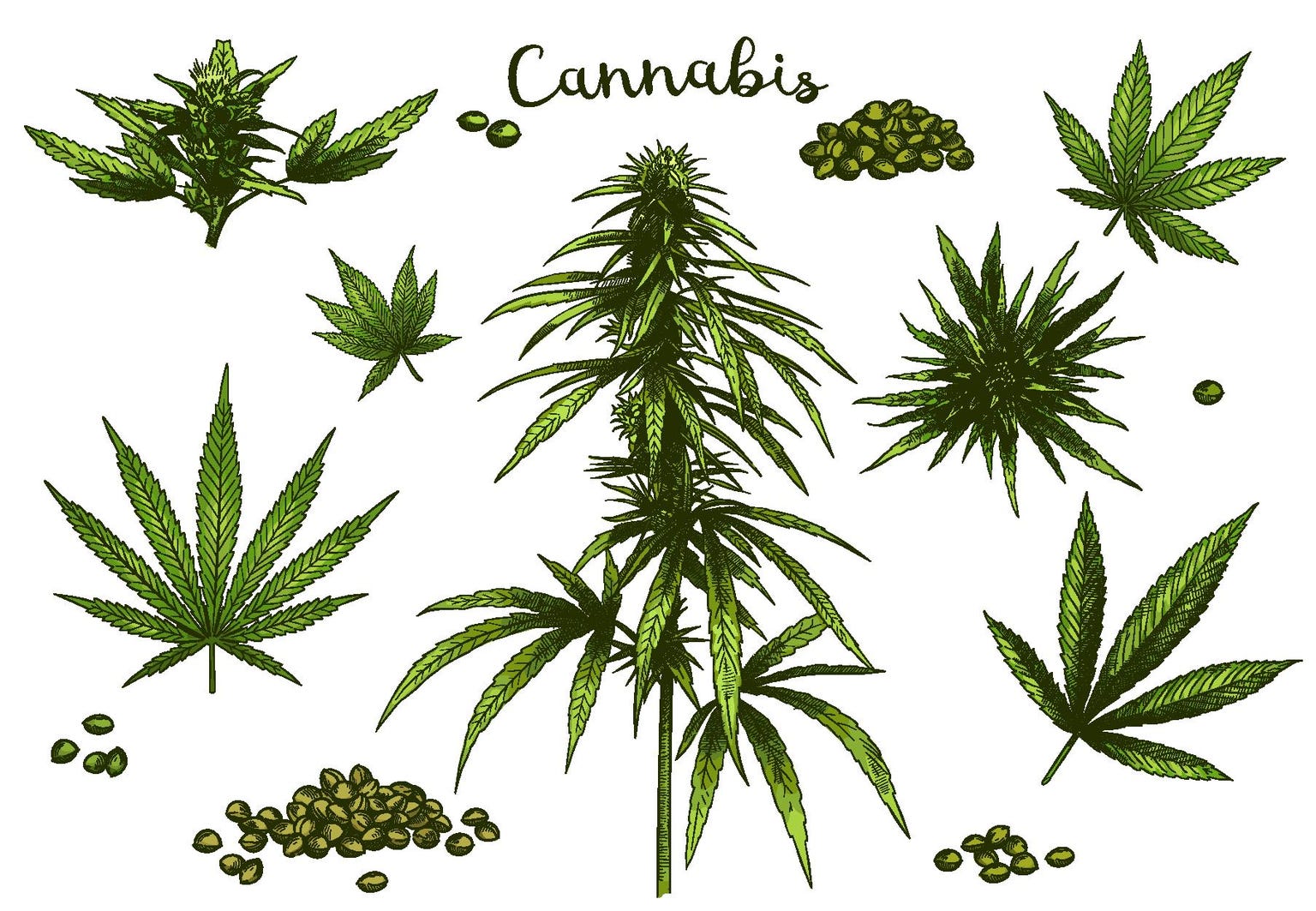 POTX ETF Leaves Investors Dazed And Confused Seeking Alpha