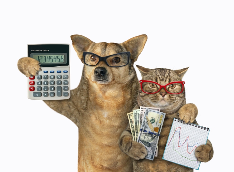 SiTime Stock: Potential Long-Term Outperformance (NASDAQ:SITM) - Seeking Alpha 19 Dog and cat are bankers 3