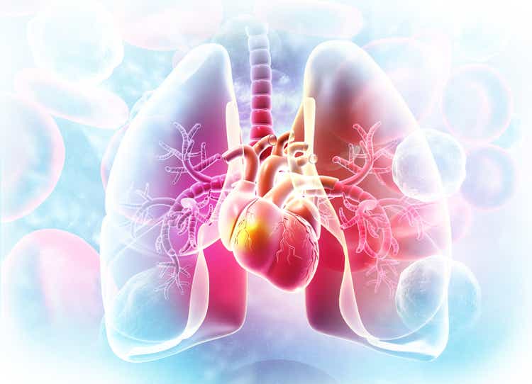 Lungs,Heart Anatomy on