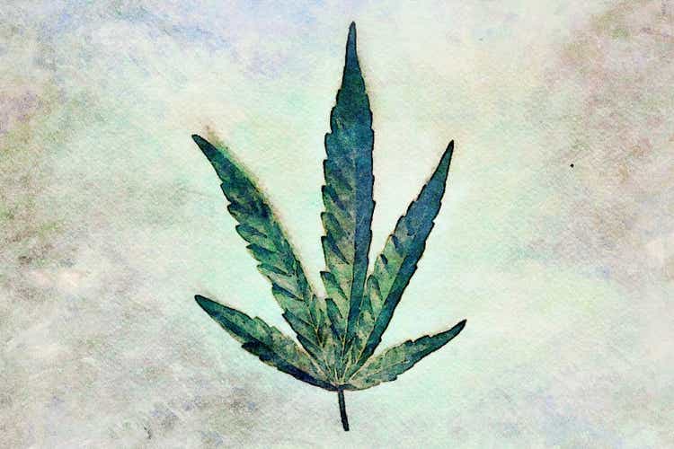 Watercolor Illustration of Medical Cannabis Leaf