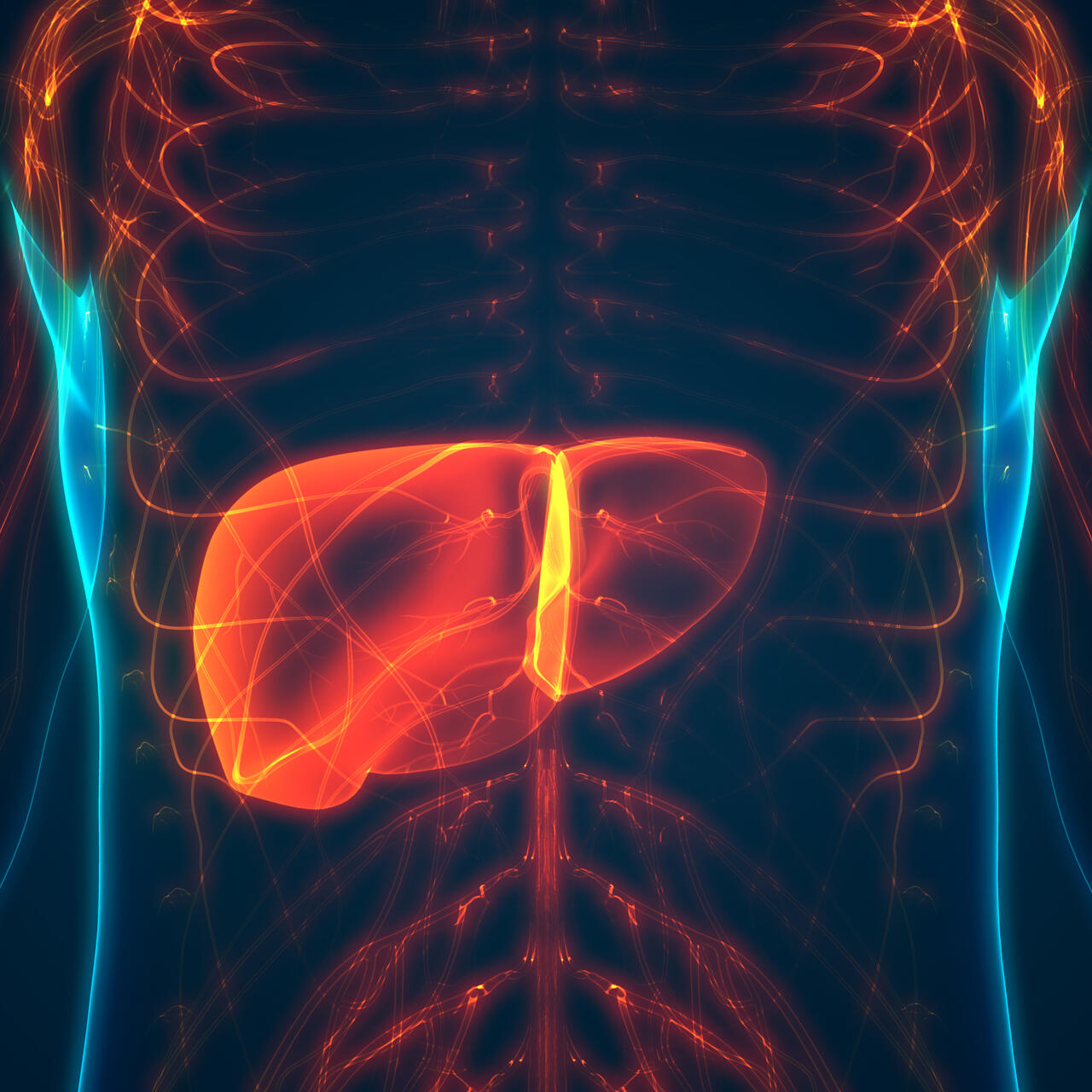 FDA clears Hepion Pharma's CRV431 application for liver cancer ...