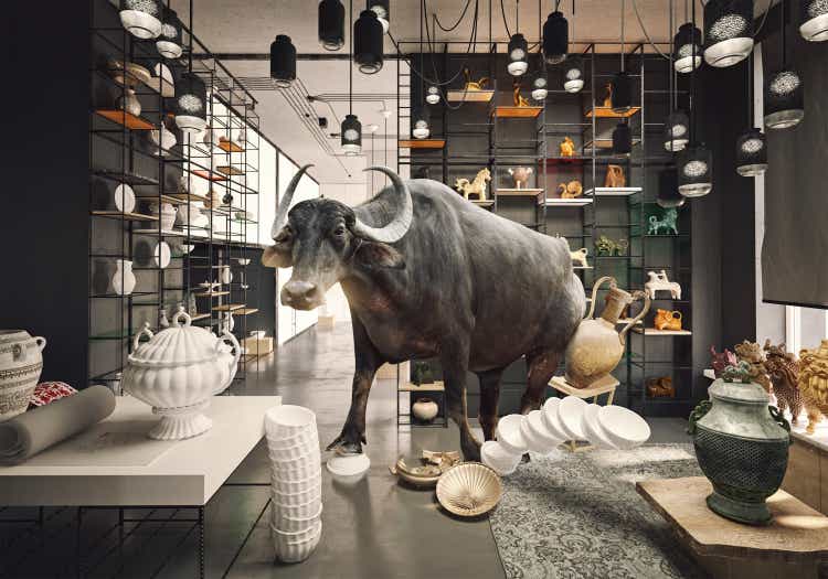 bull in a China shop.