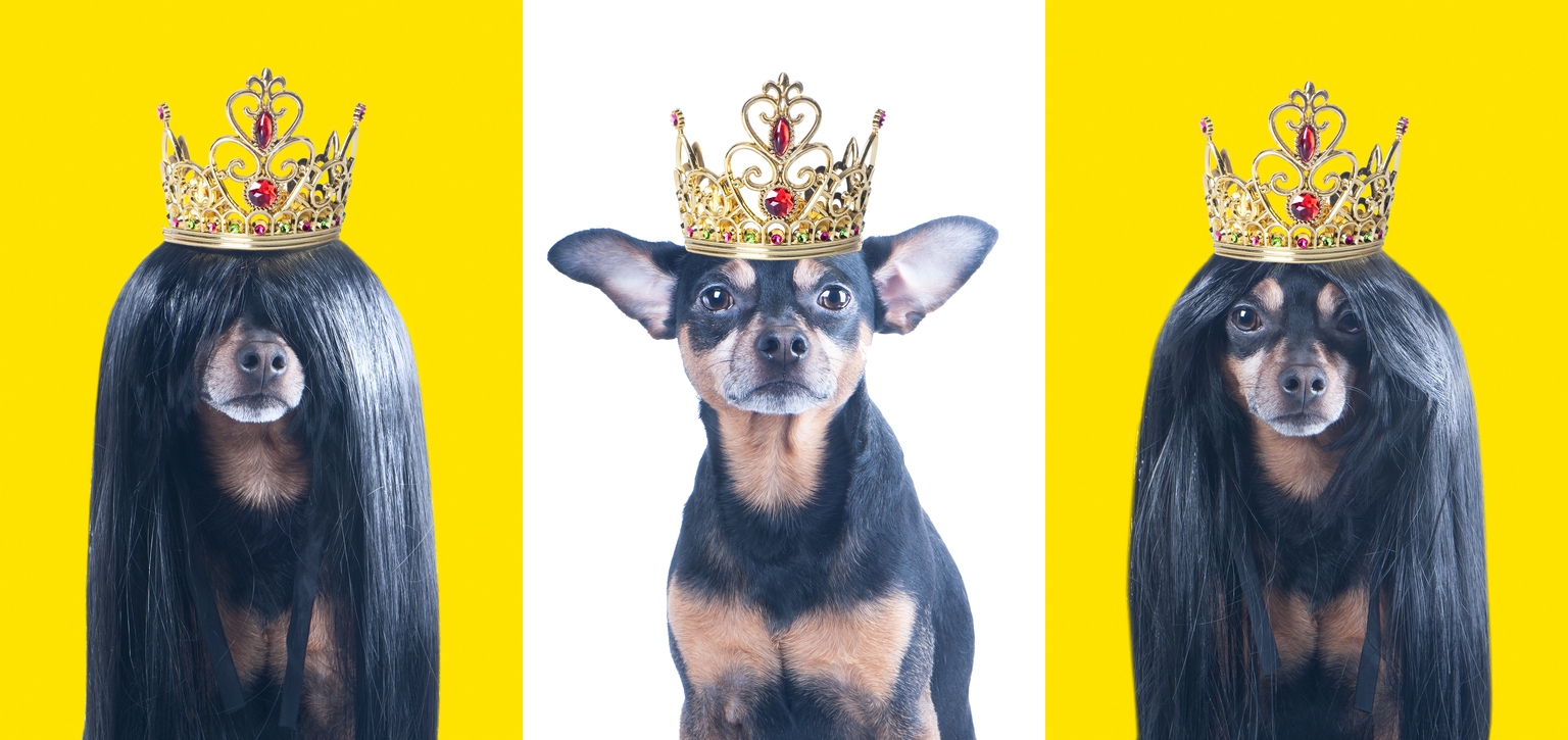 August Dividend Kings: 3 Ultimate Buys In 25 ‘Safer’ Of fifty Canine