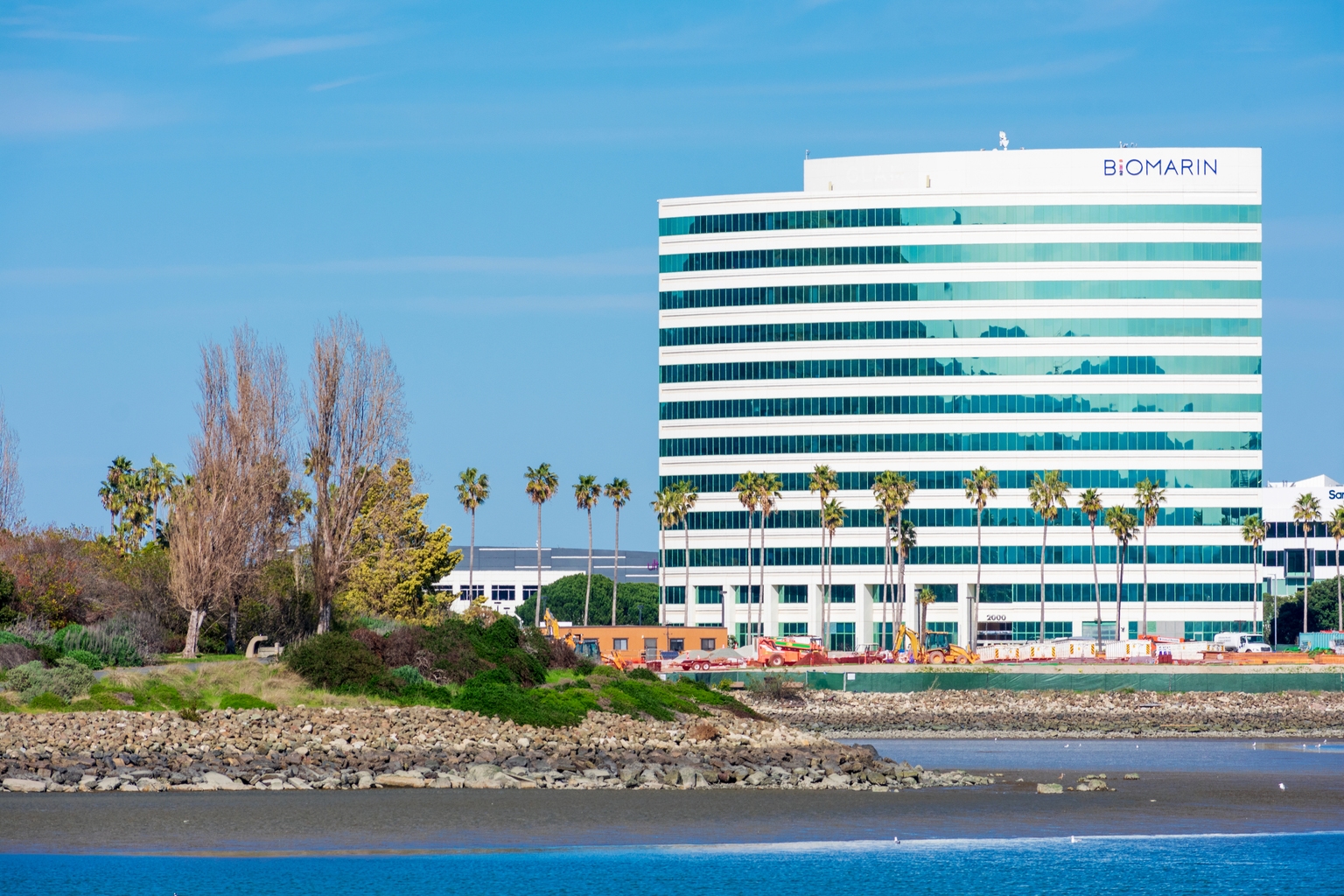 BioMarin Stock: Keeping Bullish View After Q3 Earnings (NASDAQ:BMRN)