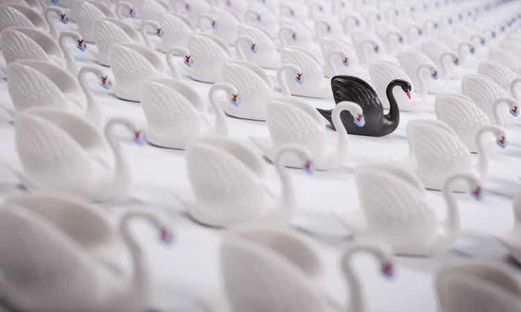 Black swan event stock photo. Face masks