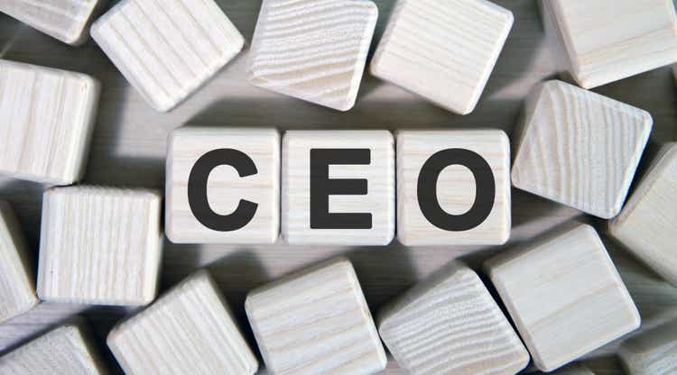 CEO - Executive General Director. Wooden cubes and many cubes around