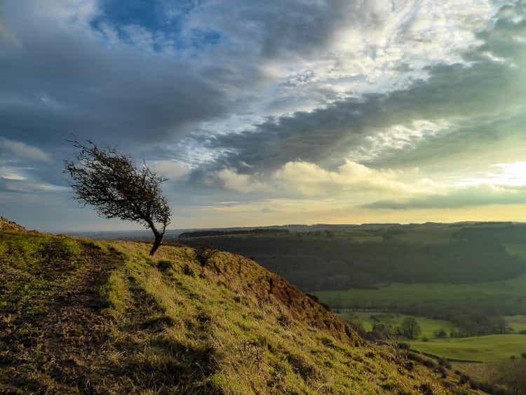 Google Stock: Turbulence Spells Opportunity (NASDAQ:GOOG) - Seeking Alpha A windswept tree on a steep edge against a dramatic sky
