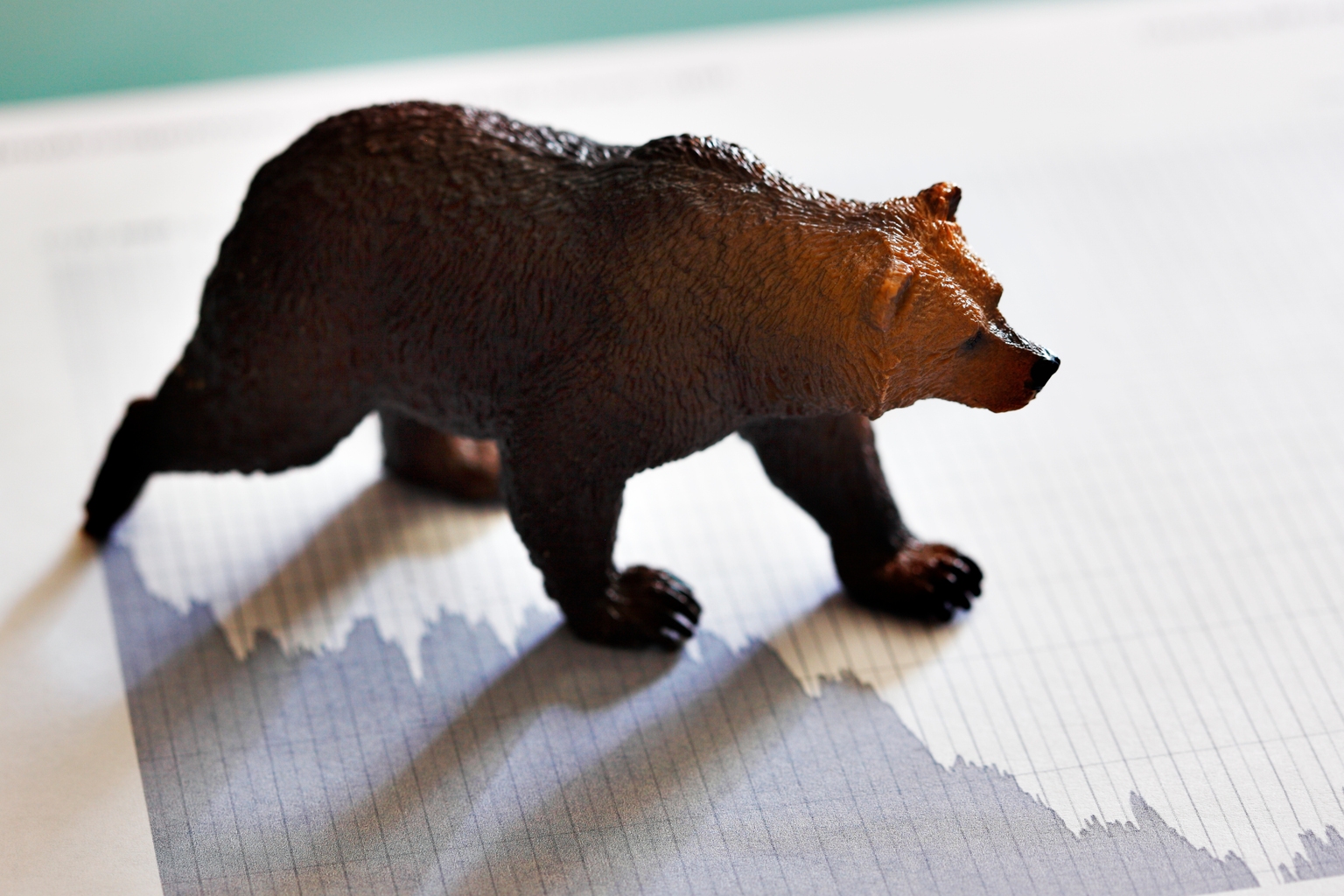 Bear Market
