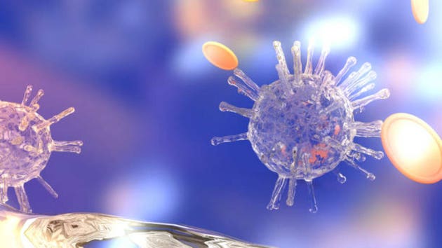 Immunovant gains amid takeover speculation