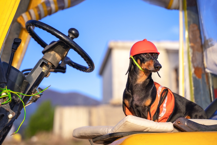REMX: The Critical Materials Rally Will Continue