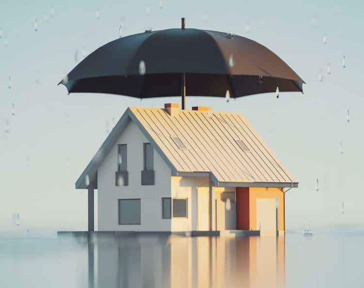 House insurance, 3d Render