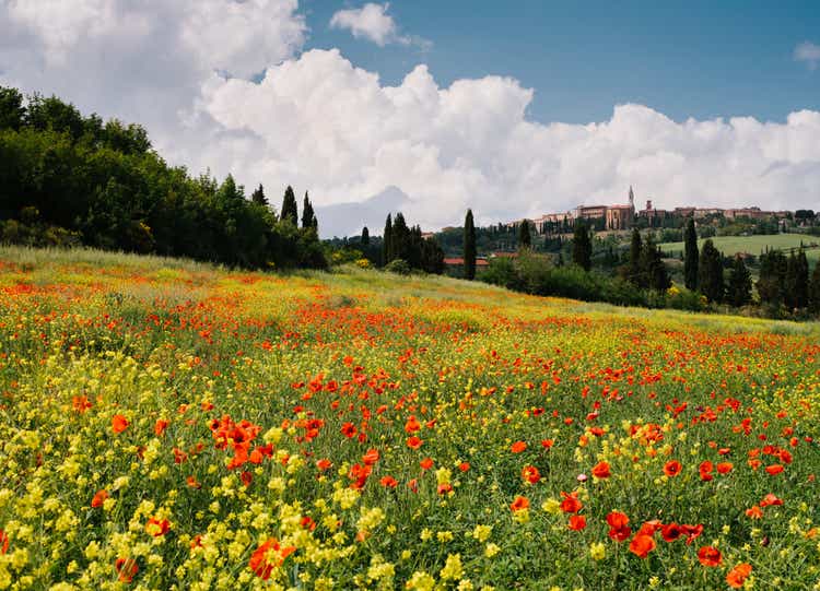 Idyllic Tuscany landscape in springtime