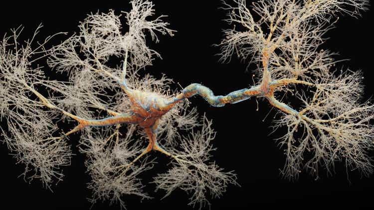 Neuron cell close-up view
