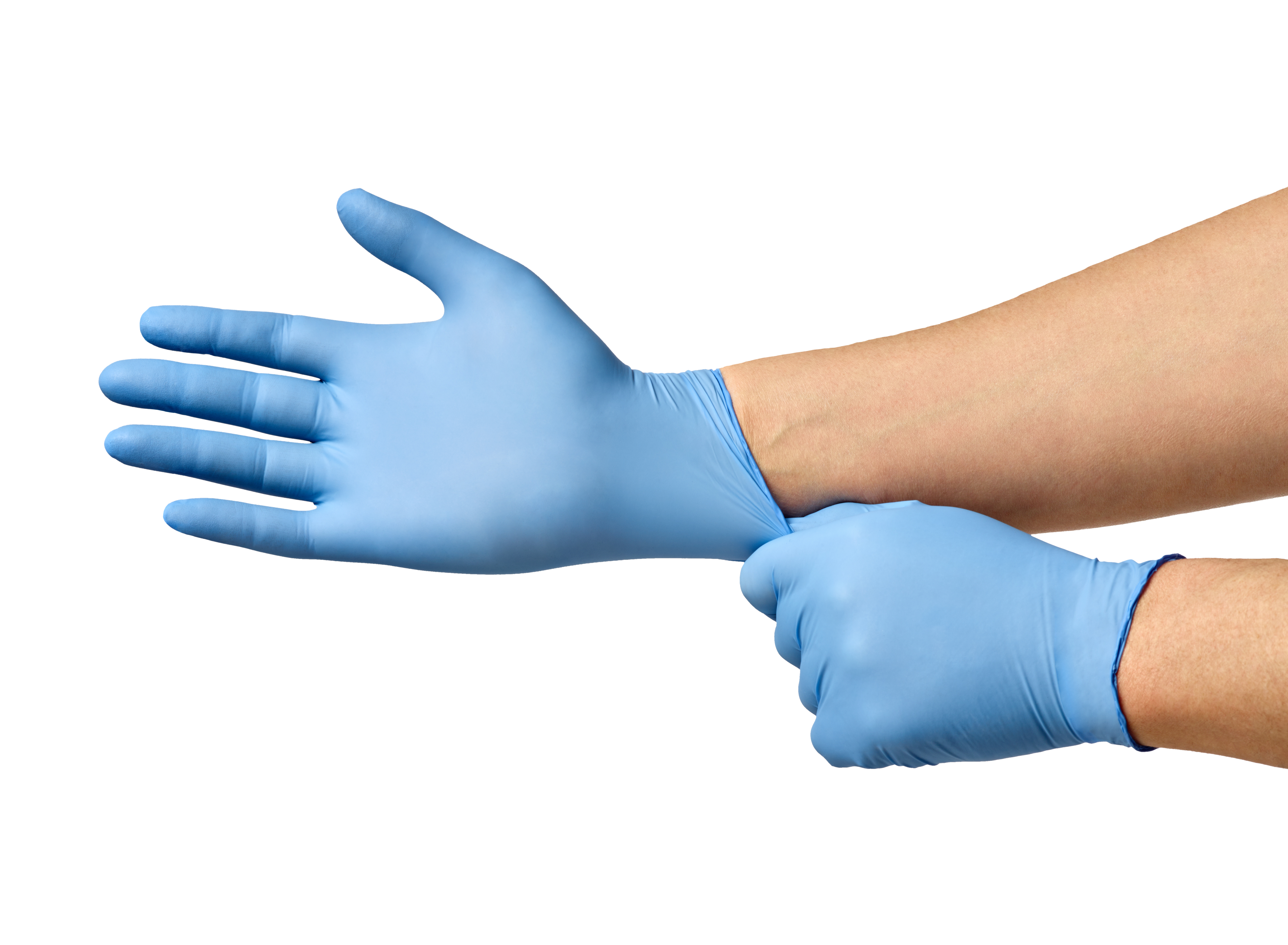 latex gloves stock price