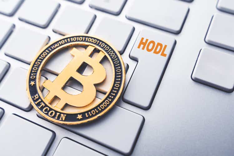 Bitcoin hodl concept. Toned soft focus picture. Conceptual image for worldwide cryptocurrency and digital payment system