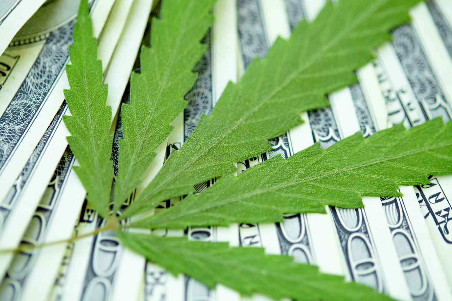 Marijuana Rescheduling Decision Said To Be Imminent | Seeking Alpha