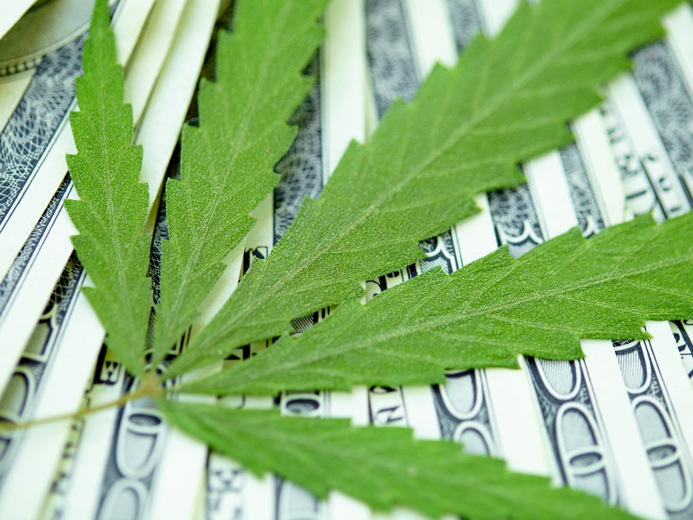 Cannabis is a $200B market cap: Pablo Zuanic (NYSEARCA:MSOS)