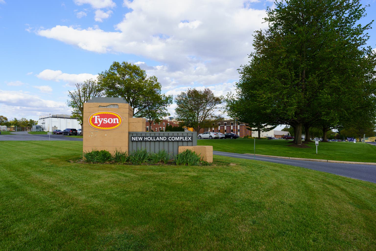Tyson Foods: Margins Tight, Earnings Mixed, Hold This Protein Leader