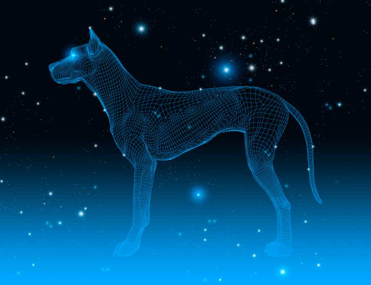 Wireframe dog in a dark space with stars, constellation symbol, 3d illustration