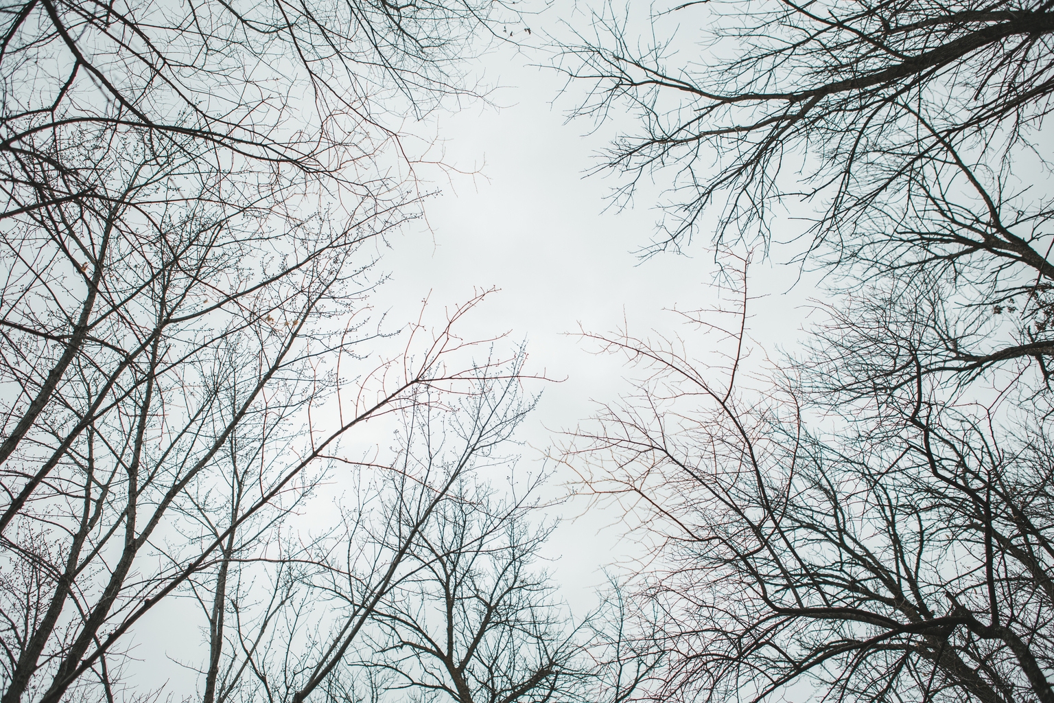 iTeos Therapeutics: TIGIT Falls, And A Zombie Rises? (NASDAQ:ITOS)