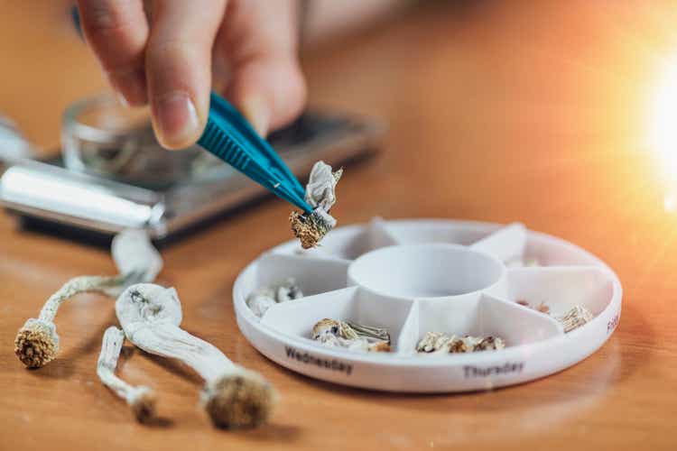 Micro Dosing with Psilocybin Magic Mushrooms