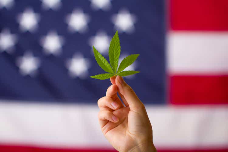 legalization of cannabis in the United States of America.  cannabis leaf in hands on the background of the US flag