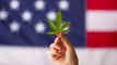 Cannabis stocks rally as DOJ proposes reclassifying marijuana article thumbnail