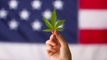 Cannabis stocks rally as DOJ proposes reclassifying marijuana article thumbnail