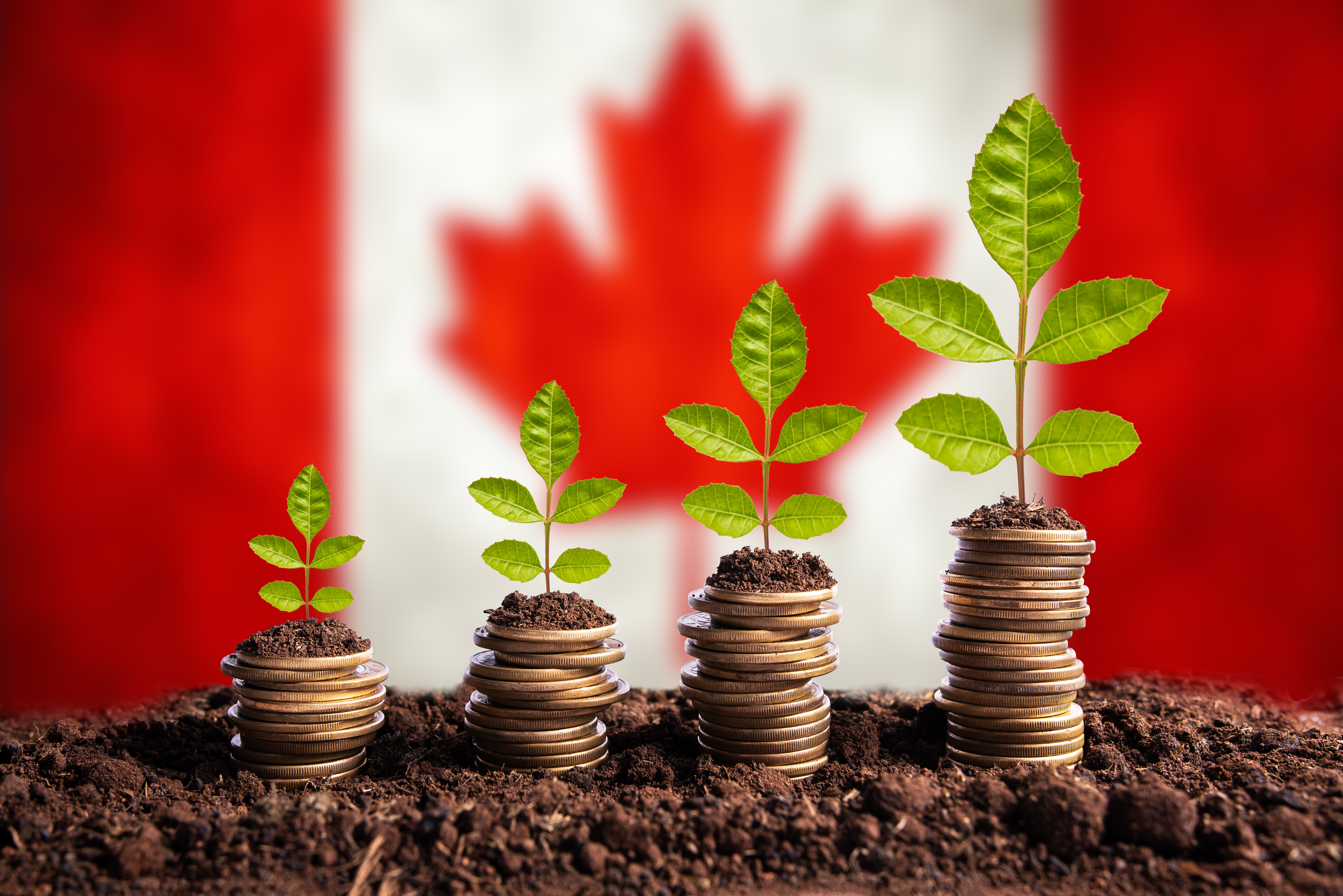 seekingalpha.com - TD Wealth - Canada's Economic Divergence And The Opportunities For Investors