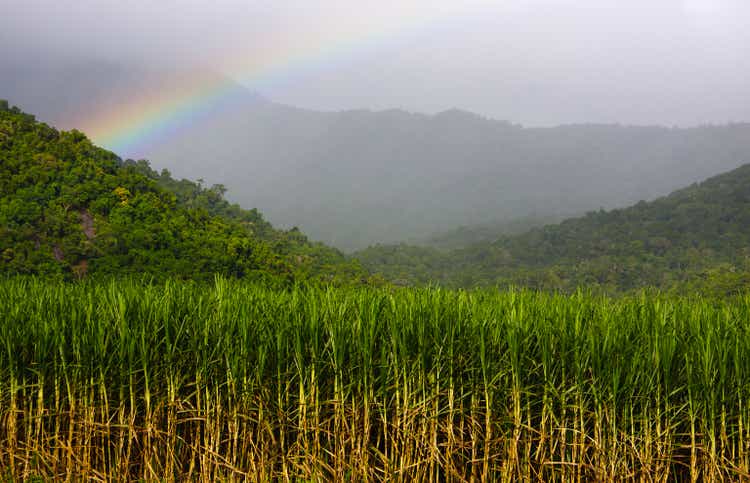 Sugar Cane and Rainforest with Rainbow in Queensland, Australia