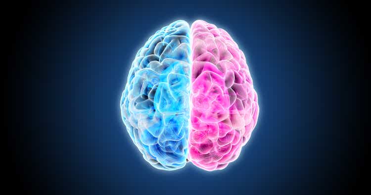 3D rendering directly above hemispheres of human brain illustration