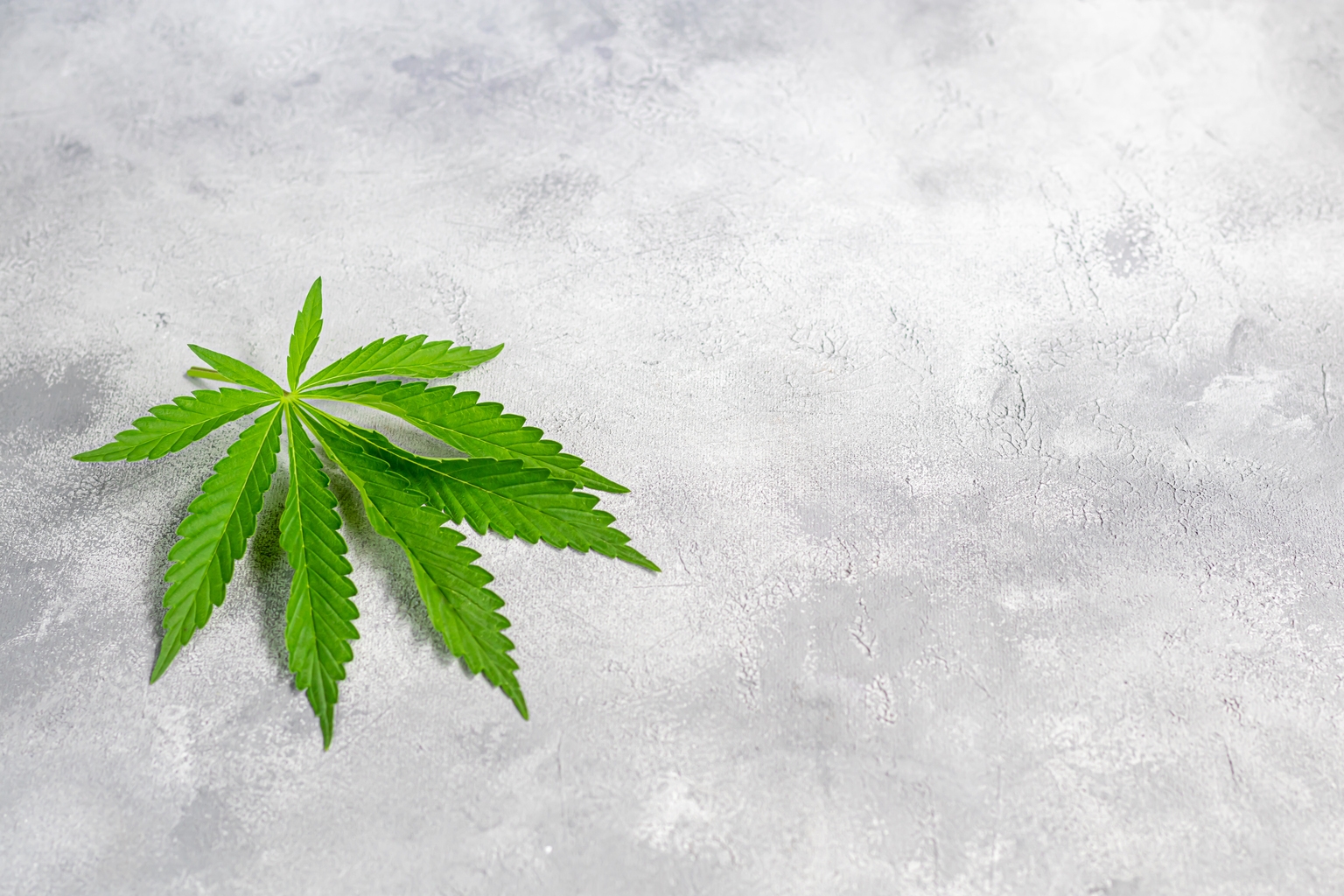 canopy-growth-still-not-at-rock-bottom-nasdaq-cgc-seeking-alpha