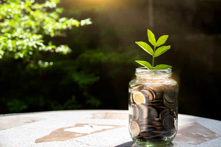Plant Little tree Growing on In Savings Coins, Investment And Interest Concept