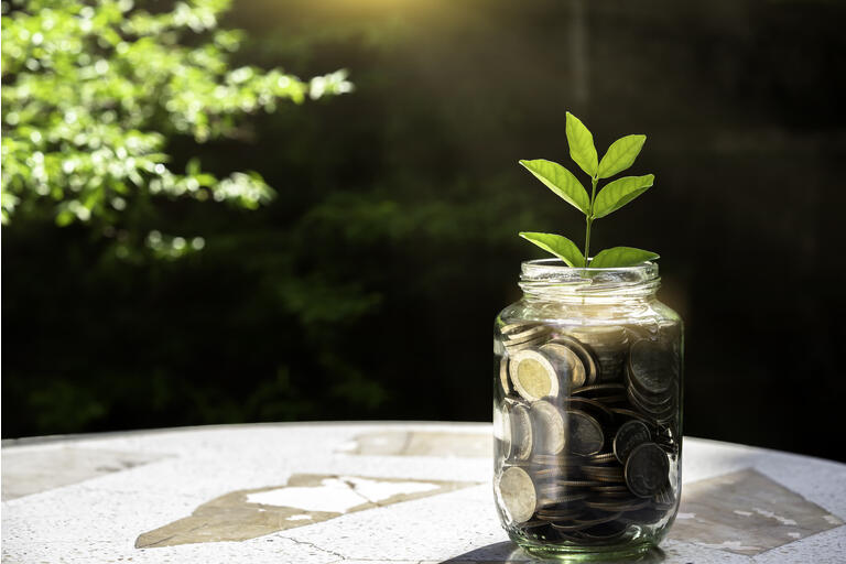 Plant Little tree Growing on In Savings Coins, Investment And Interest Concept