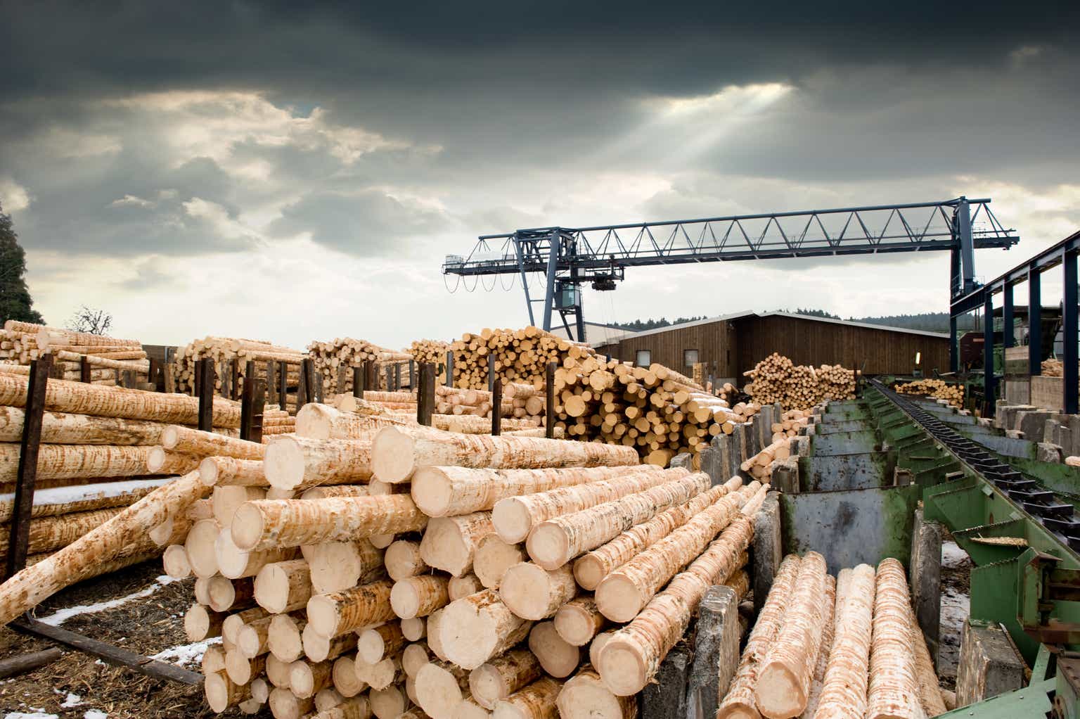 Westfraser Timber Stock