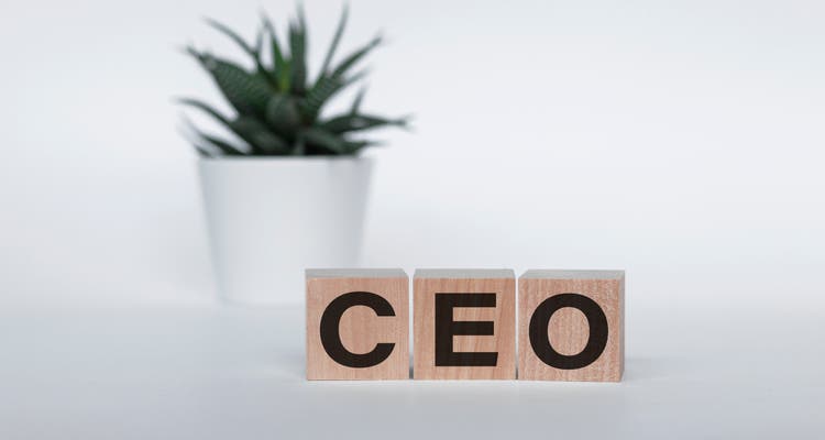 Word CEO made with wood building blocks on a white background