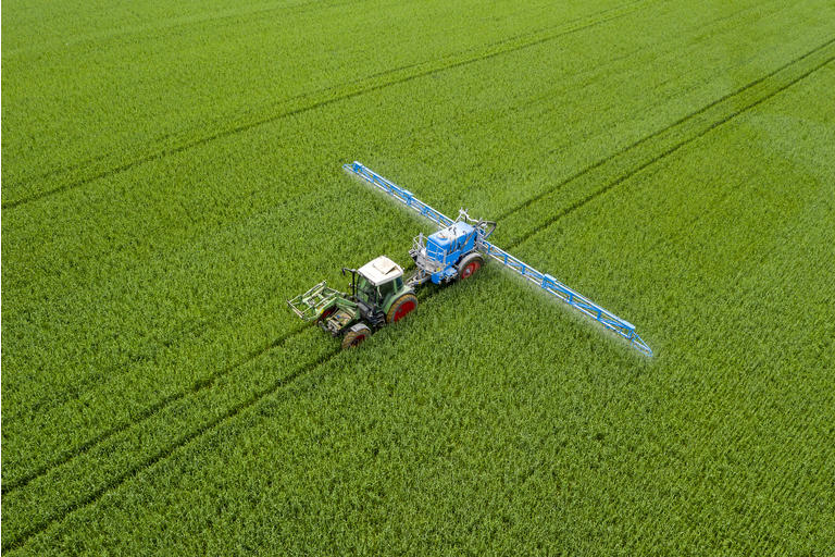 Tractor spraying wheat field, aerial view
