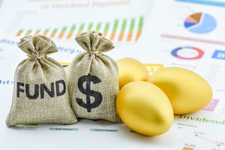 Bags of fund, US USD dollar and golden eggs on a company summary report