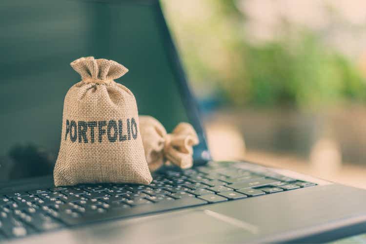 Taschen mit Portfolio auf einem Laptop